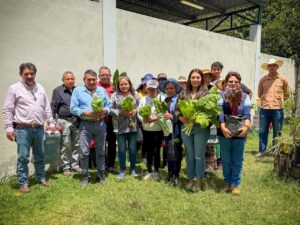 Huertos verdes (2)